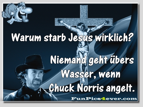 Chuck Norris angelt