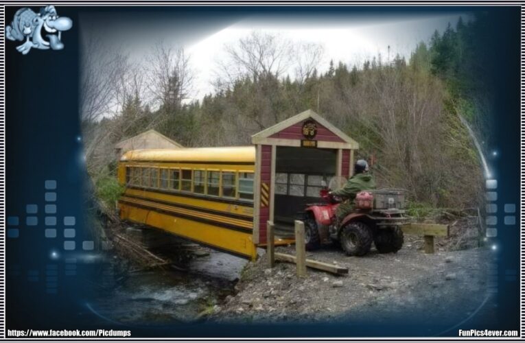 Bus Bridge