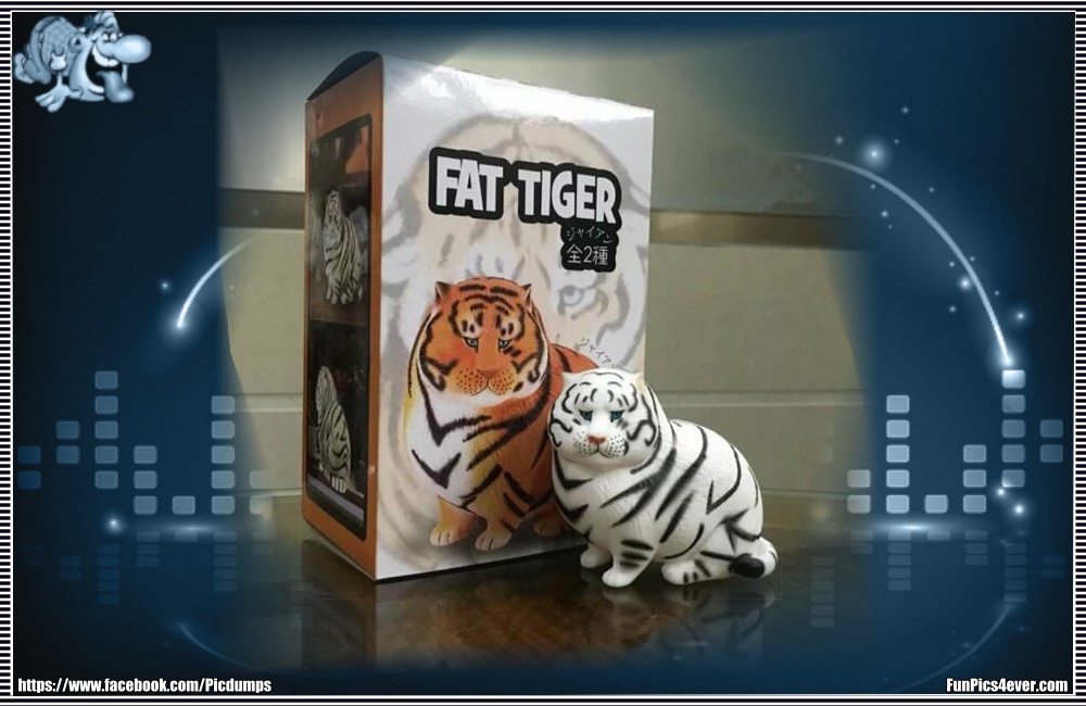 Fat Tiger