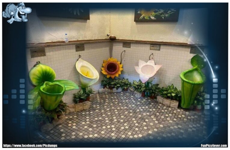 Flower WC
