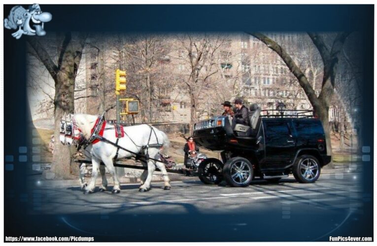 Hummer Kutsche