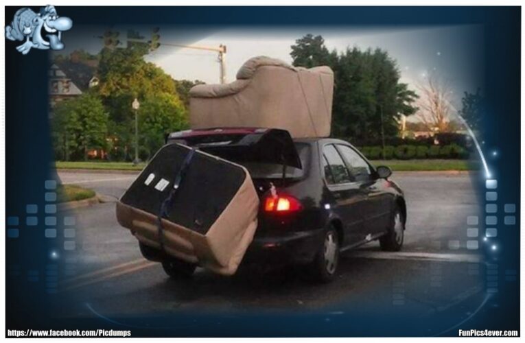 Mega Transport
