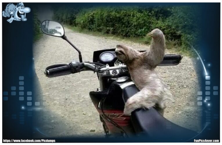 Moped fahren