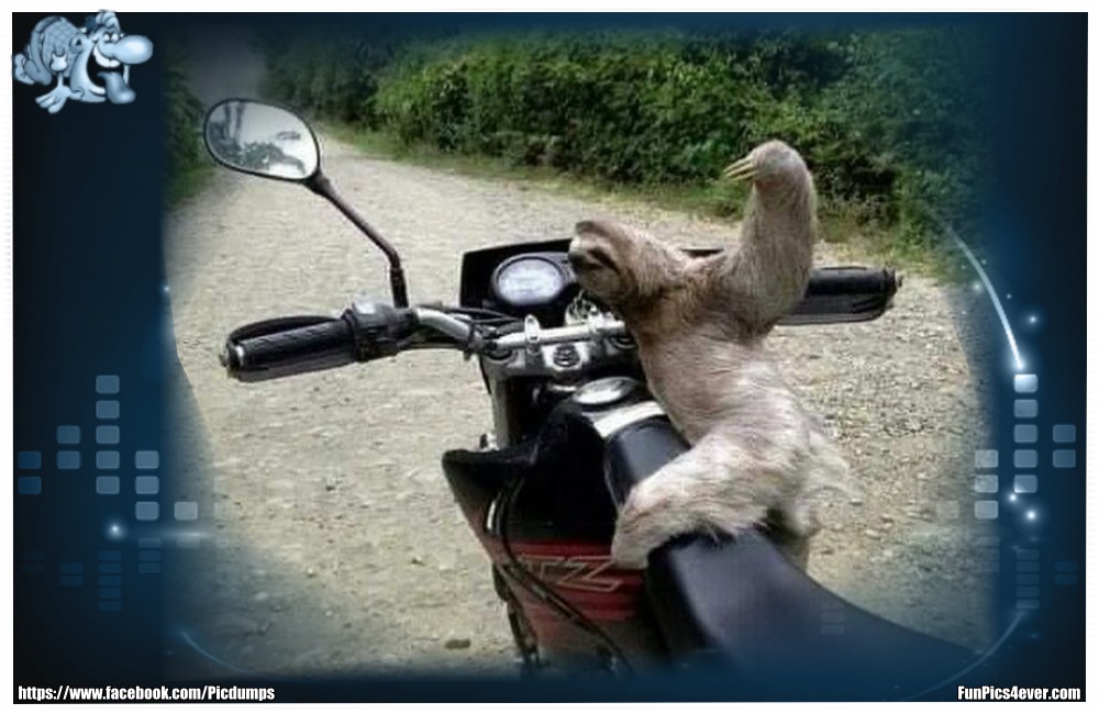 Moped fahren