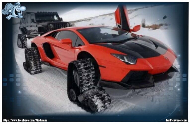 Schneeketten Lambo