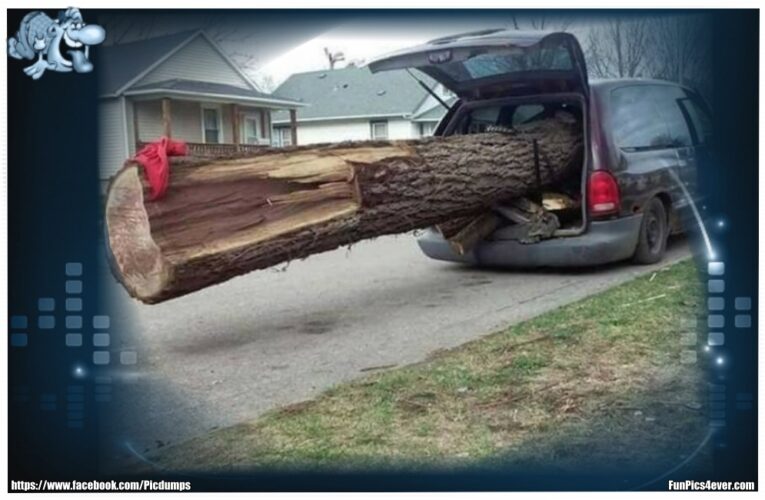 Schwerer Baum