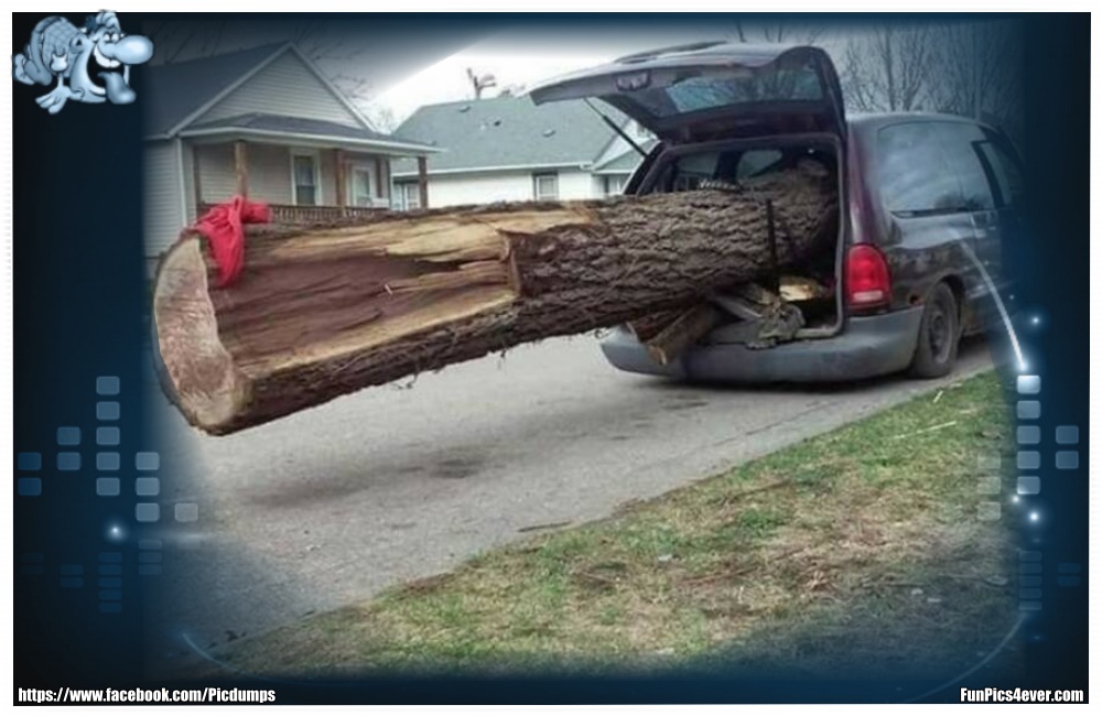 Schwerer Baum