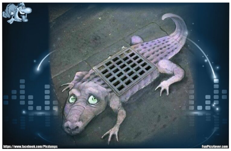 Gulli Alligator