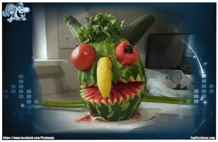 Melonen Kunst