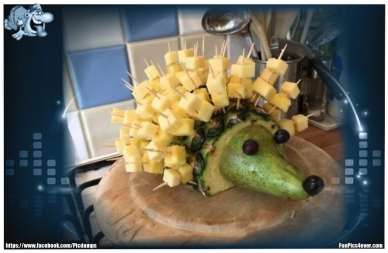 Obst-Igel