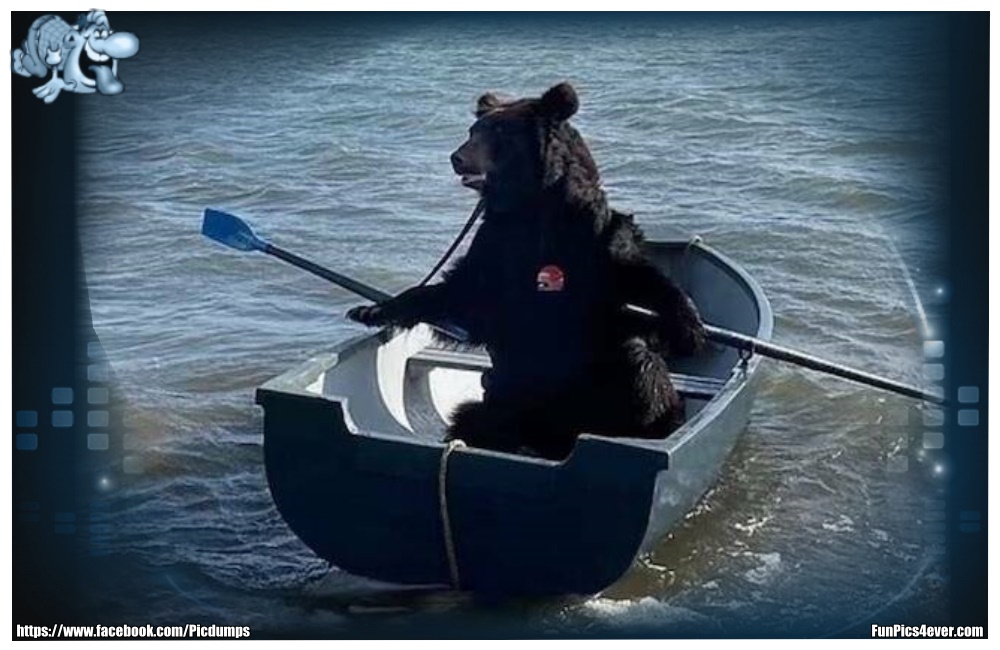 Ruder Bär