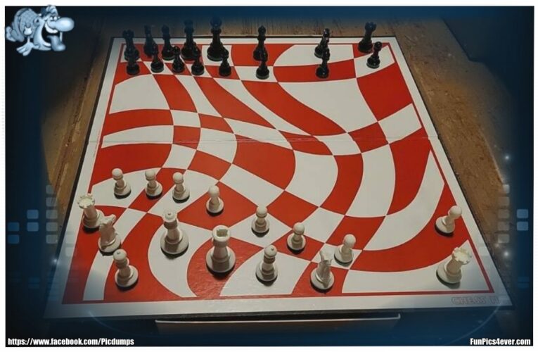 Schach