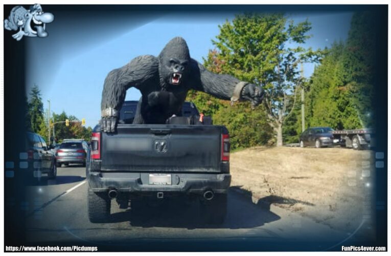 Truck Gorilla