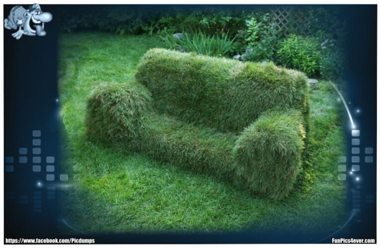 Wiesen Sofa