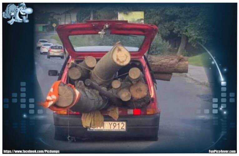 Holztransporter