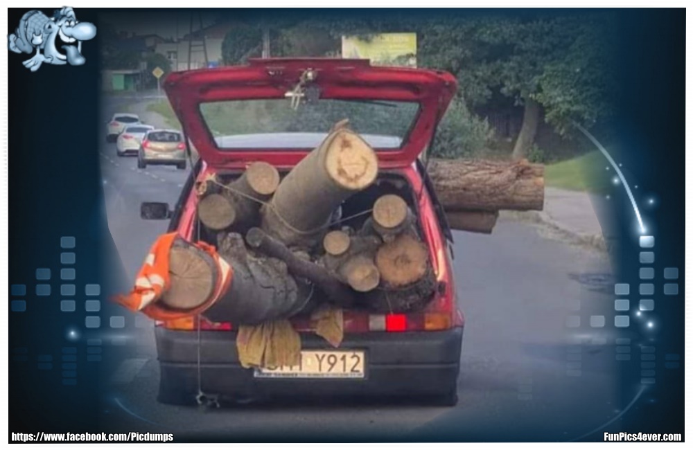 Holztransporter - da hätte aber noch ein bisschen mehr rein gepasst.