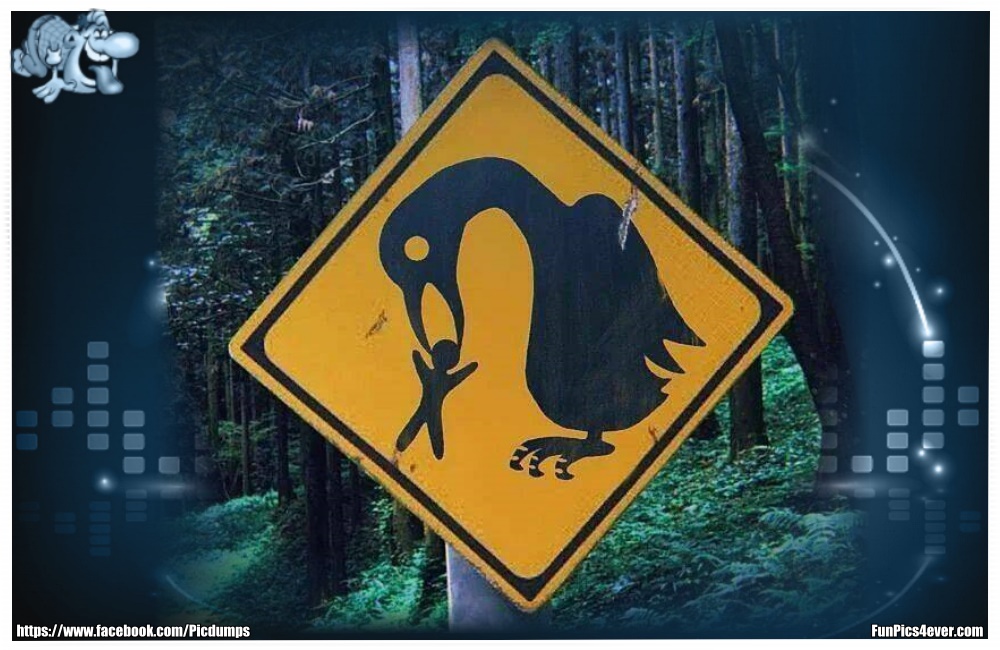 Menschenfresser - hier ist absolute Vorsicht geboten. Vögel die Menschen fressen. Wo gibt es das?