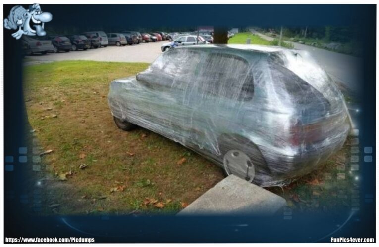 Auto in Folie