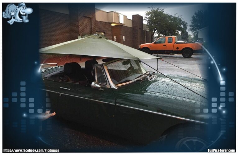 Cabrio Verdeck