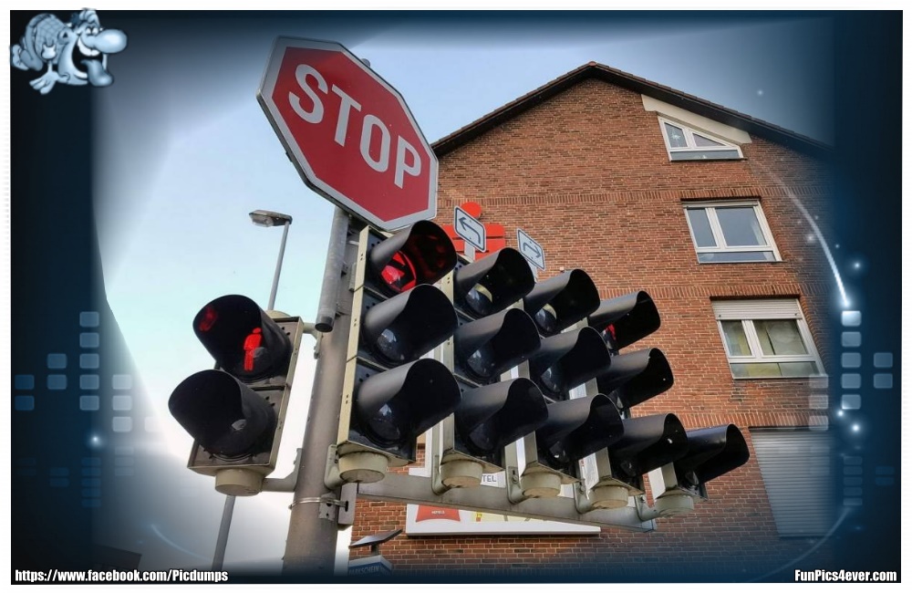 Chaos Ampel - hier blickt doch keiner durch. Das wird lustig.