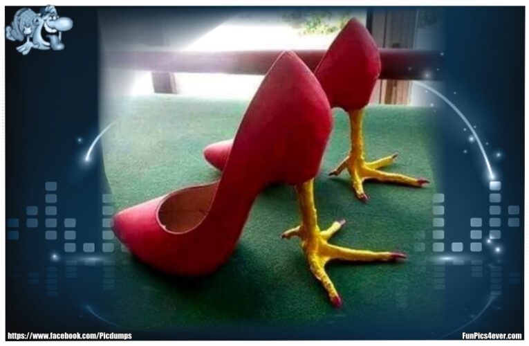 Chicken Schuhe
