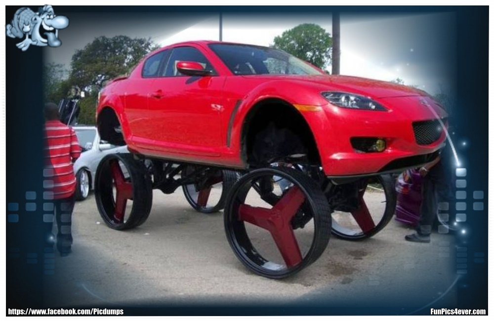 Funny Car Funpics4ever