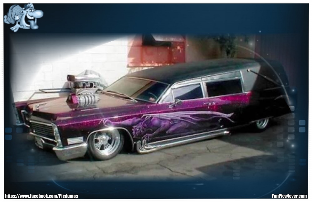 Funny Car Funpics4ever