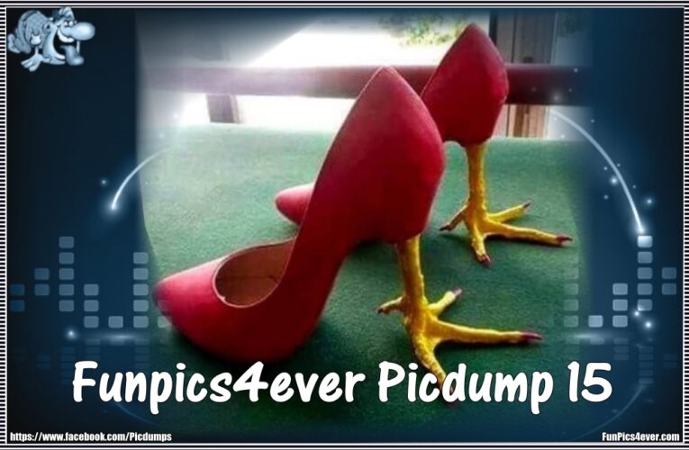 Funpics4ever-Picdump #15
