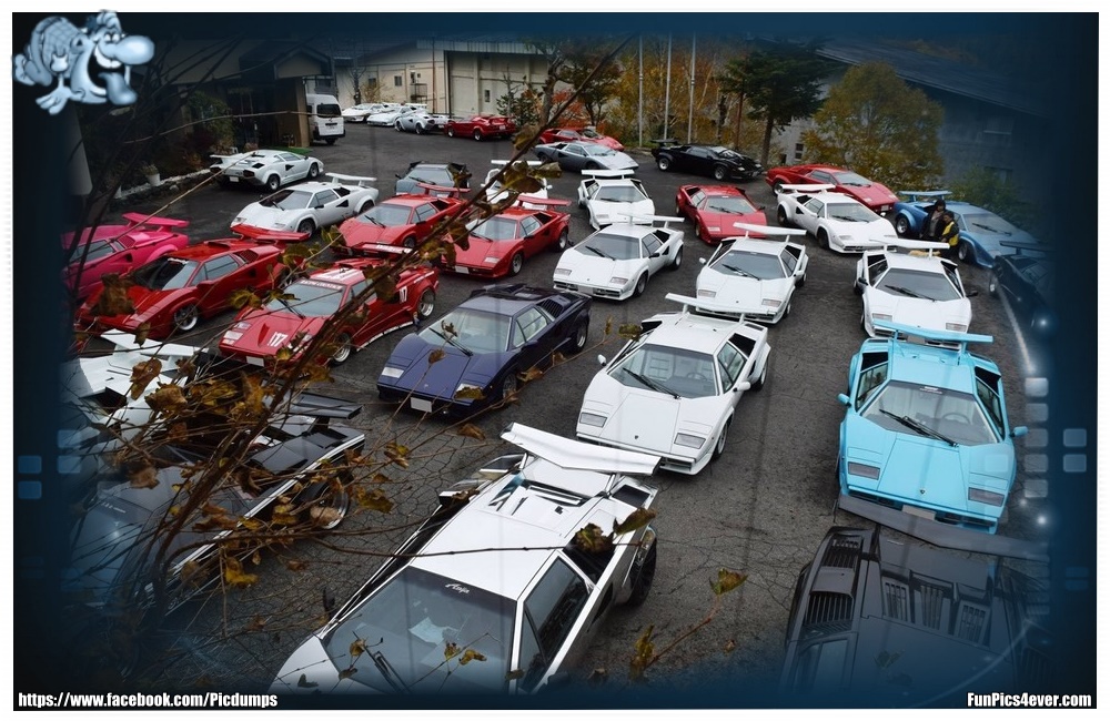 Lambo Party - was geht denn hier ab? Die Armut kotzt einen an.