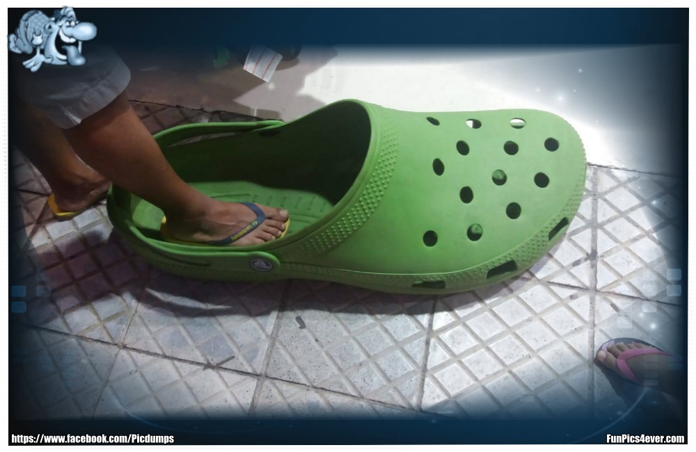 Monster Crocs - das ist doch wirklich eine Nummer zu groß, oder?