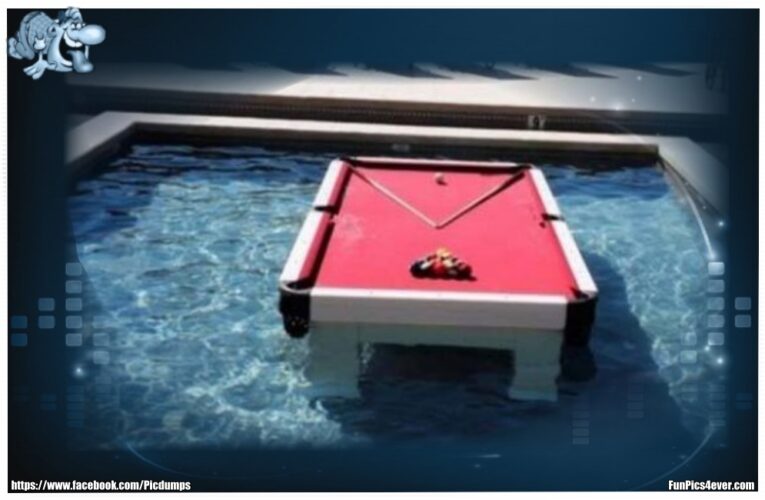 Pool Billard
