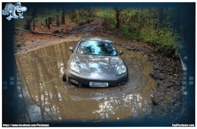 Porsche im Wasser