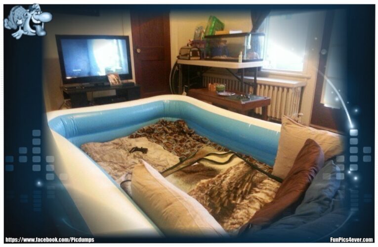 Wohnzimmerpool