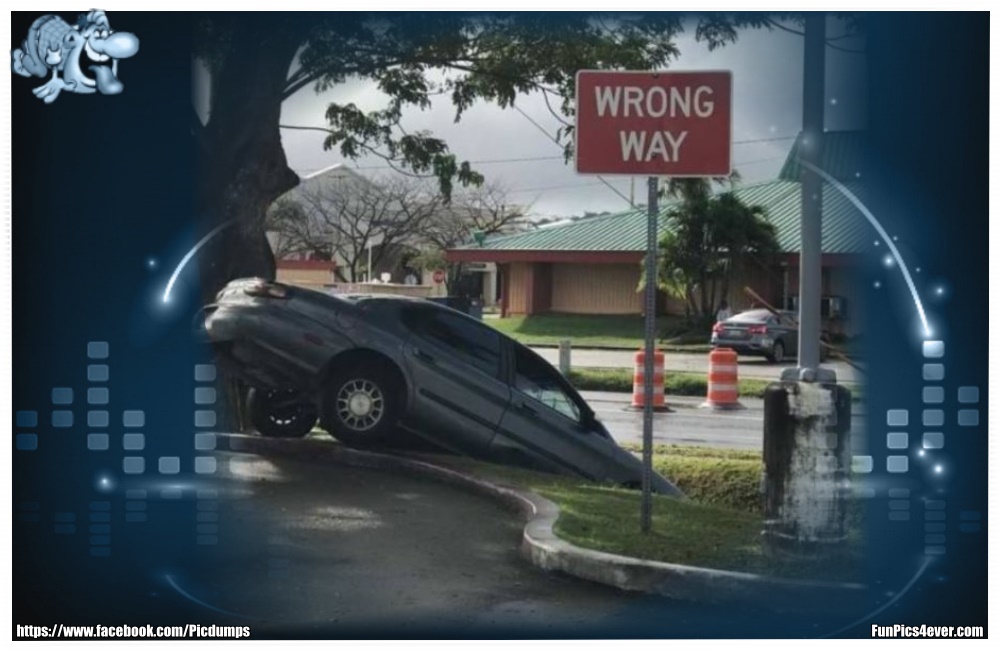 Wrong Way - ob das der richtige Weg war? Sieht nicht gut aus.