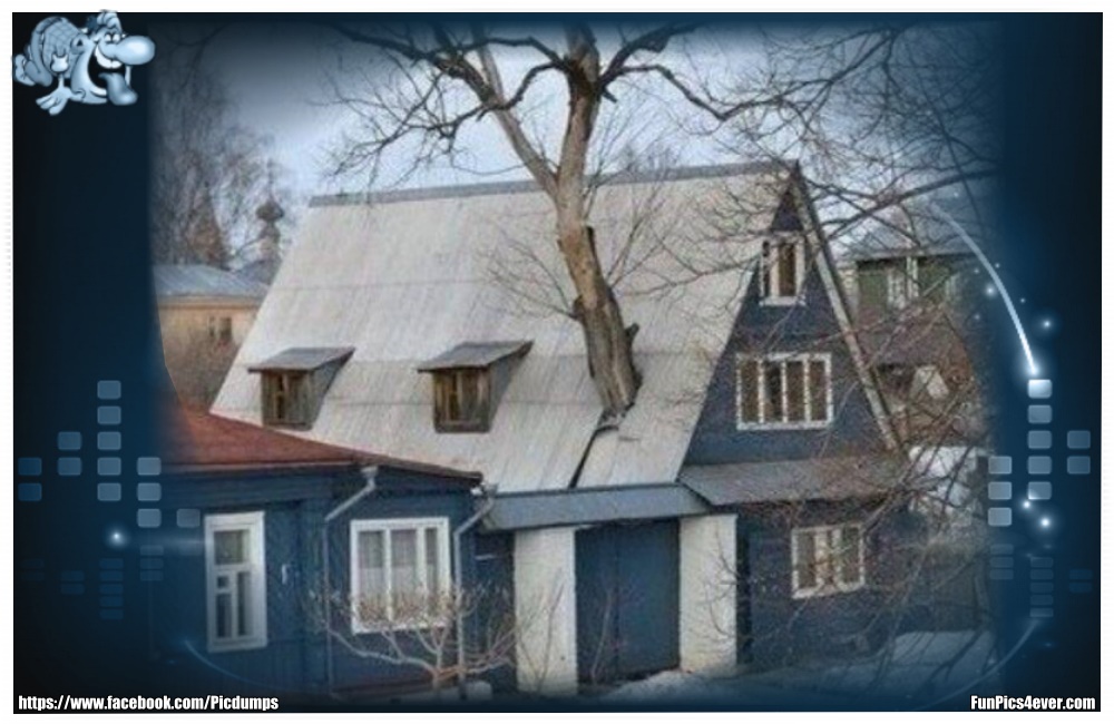 Baumhaus - da hat man wohl den Baum vergessen abzusägen. Wer hat schon so ein schönes Baumhaus?