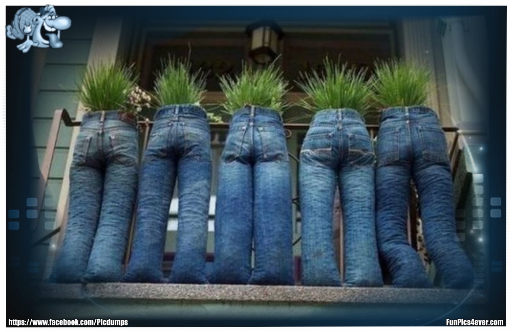 Blumenkasten Jeans - so kann man aus den alten Hosen doch noch was Nützliches machen.