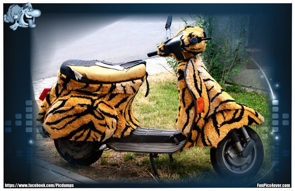 Funny Bike