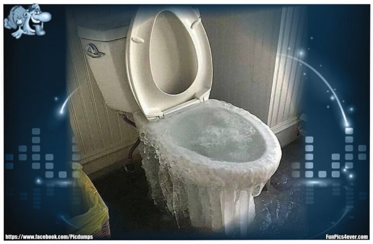ICE WC