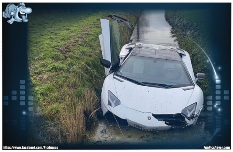 Lambo im Bach