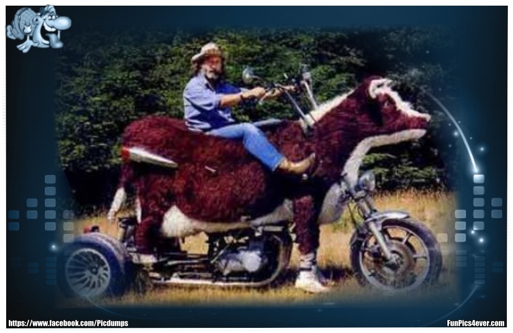 Monster Bike