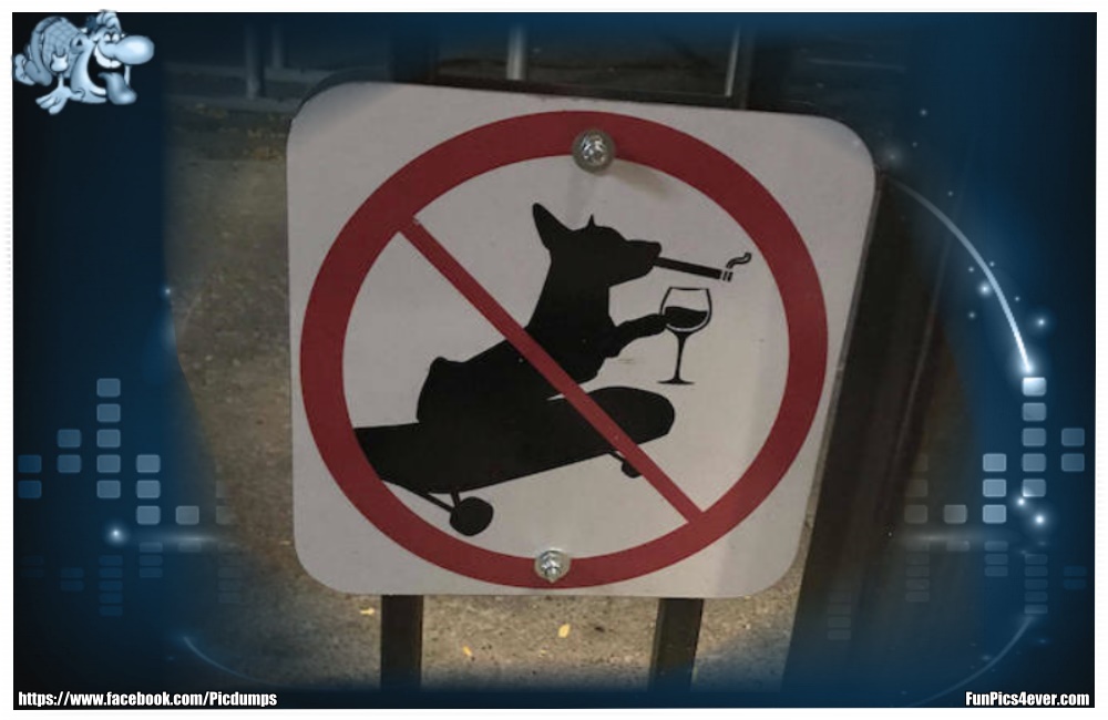 Warnschild - hier werden wohl nicht alle Tiere begeistert sein.