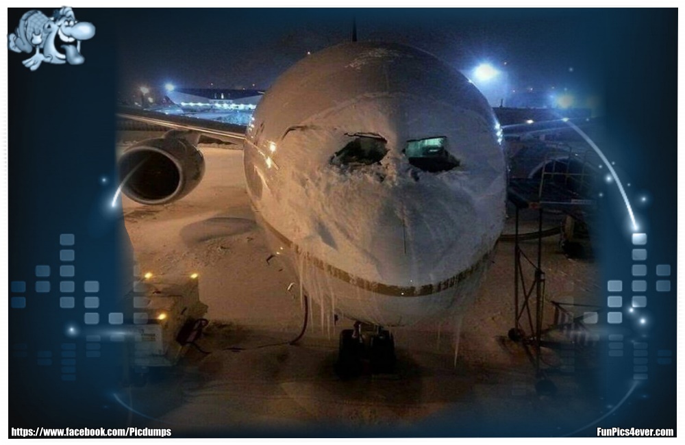 Eisvogel - da wird aber ein bisschen Eis kratzen fällig.