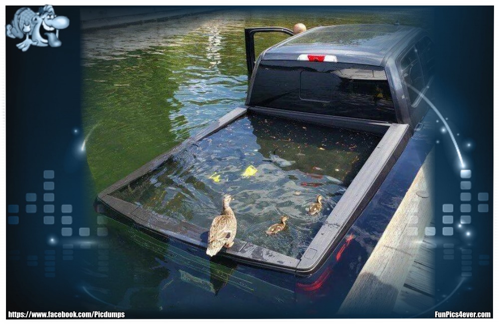 Ententeich - das hätte ich nicht besser hinbekommen. Die Enten wird es freuen.