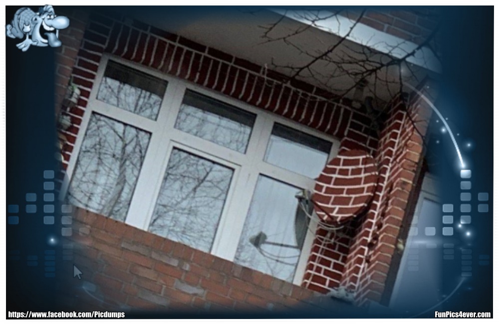 Stein Optik - wenn der Vermieter keine Schüssel erlaubt. Sehr gute Idee.