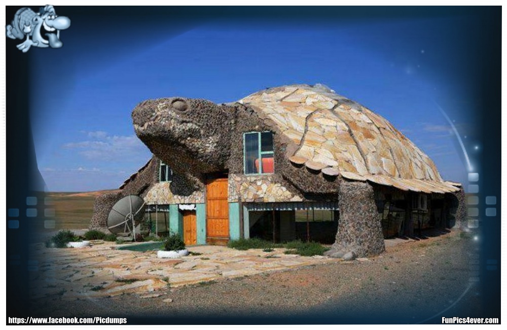 Turtle House - hier kann man mal sehen, was heutzutage alles möglich ist. Nette Idee.