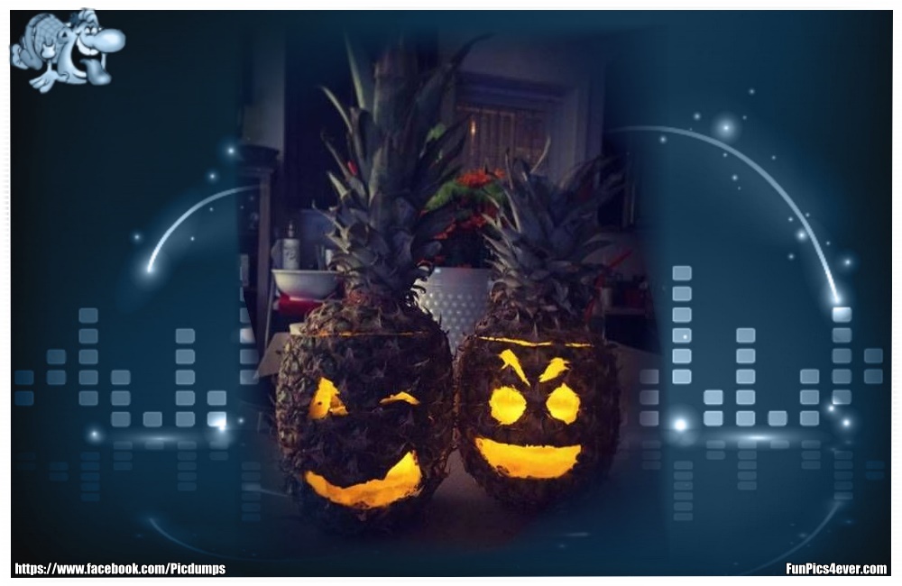 So kann man die Ananas noch sinnvoll verwerten. Sieht doch ganz gut aus.