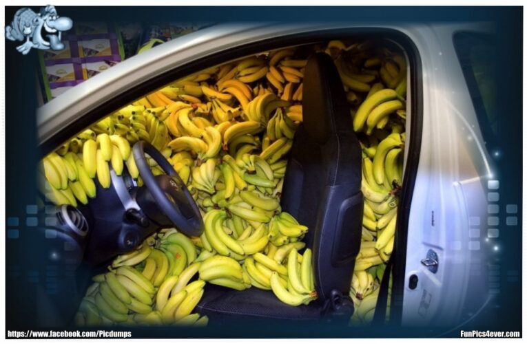 Banana Car