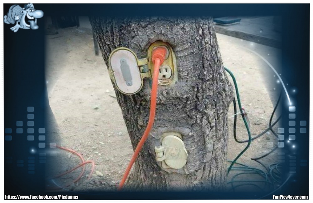 Baum Steckdose - was ist denn hier los? Das geht gar nicht.