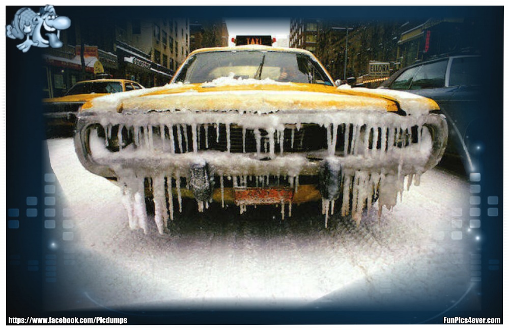 Funny Car Funpics4ever