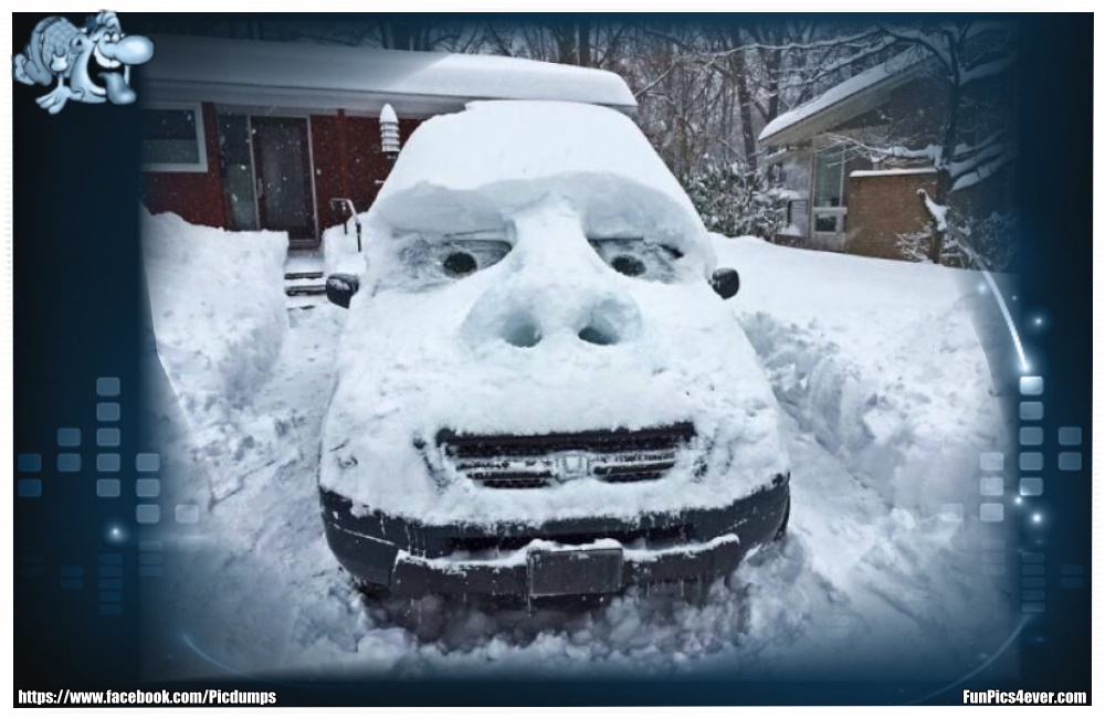 Funny Car Funpics4ever